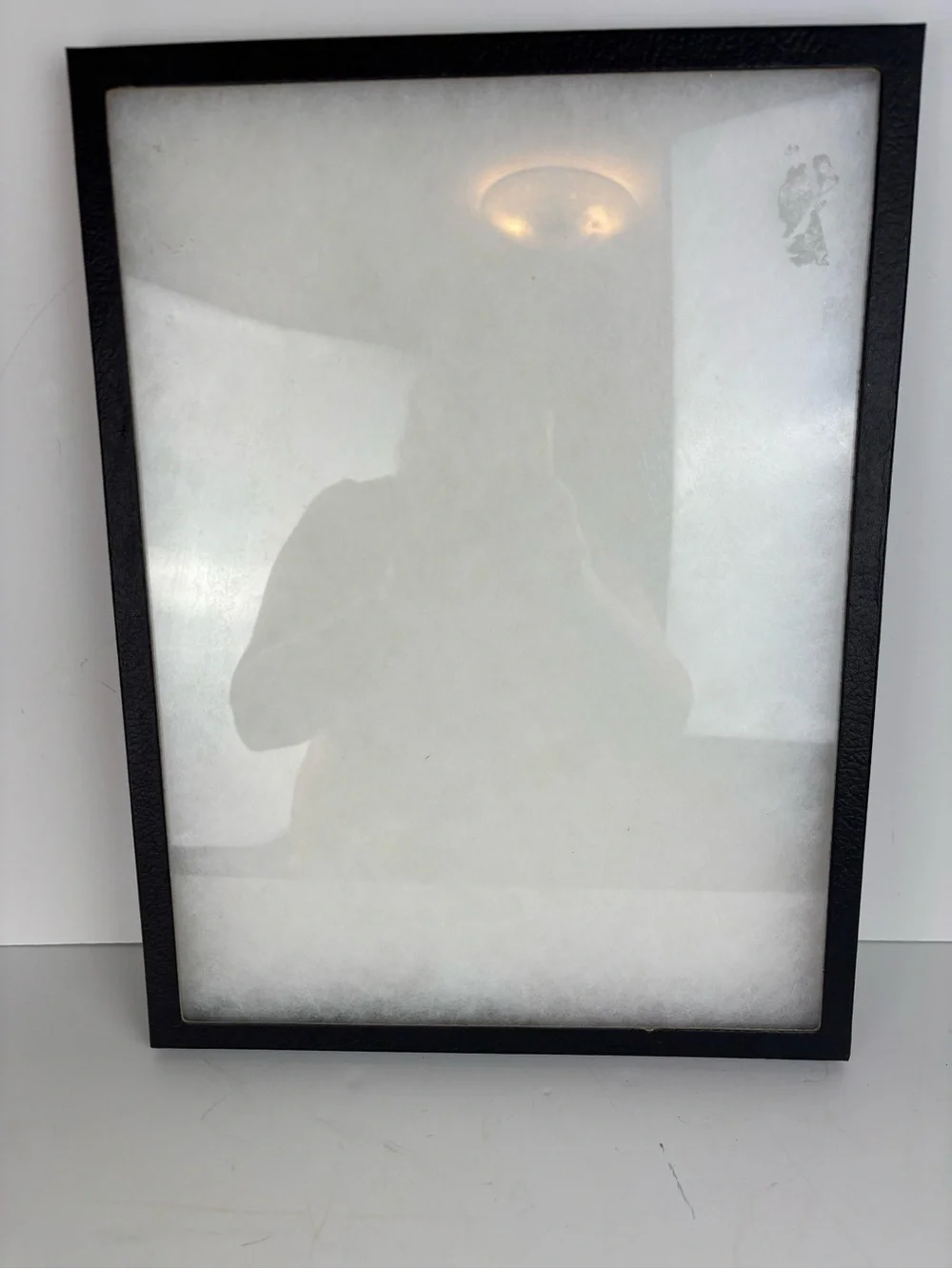 Riker Mount Display Case/Shadow Box/Frame Tray